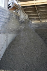 Compost stacked below the discharge conveyor of the BioReactor