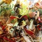 Food waste is mixed with horse manure for an ideal composting "recipe" in the BioReactor