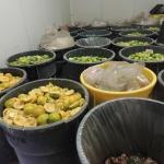 Food waste composting